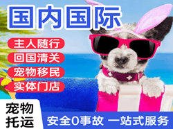 朝阳航空货运国际宠物托运 【国